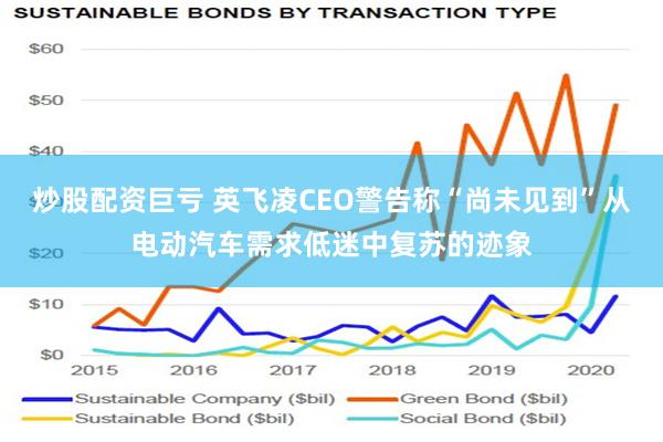 炒股配资巨亏 英飞凌CEO警告称“尚未见到”从电动汽车需求低迷中复苏的迹象