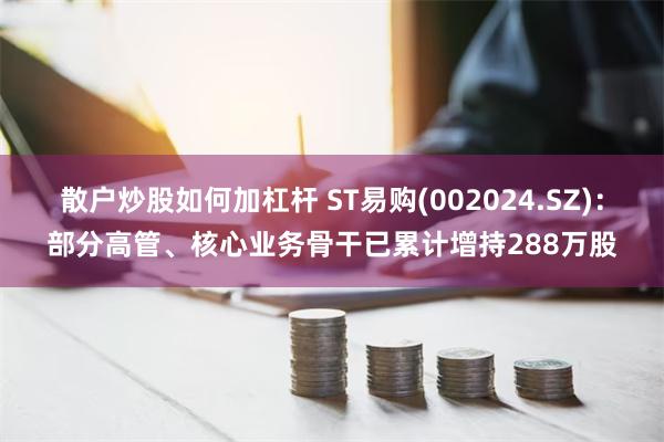 散户炒股如何加杠杆 ST易购(002024.SZ)：部分高管、核心业务骨干已累计增持288万股