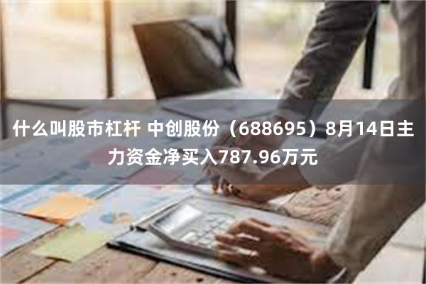 什么叫股市杠杆 中创股份（688695）8月14日主力资金净买入787.96万元