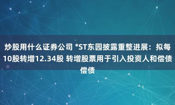 炒股用什么证券公司 *ST东园披露重整进展：拟每10股转增12.34股 转增股票用于引入投资人和偿债