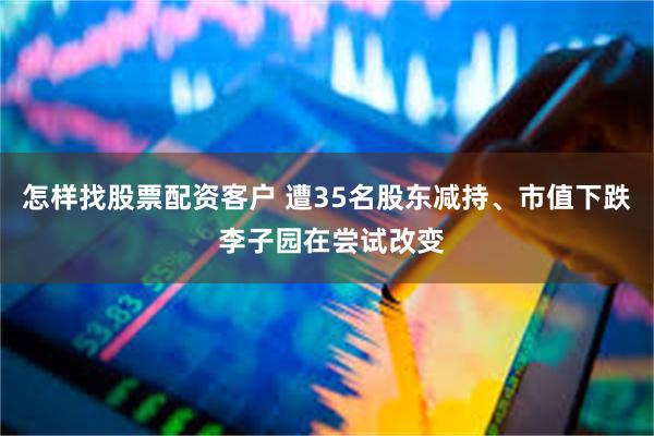 怎样找股票配资客户 遭35名股东减持、市值下跌 李子园在尝试改变