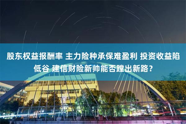 股东权益报酬率 主力险种承保难盈利 投资收益陷低谷 建信财险新帅能否蹚出新路？