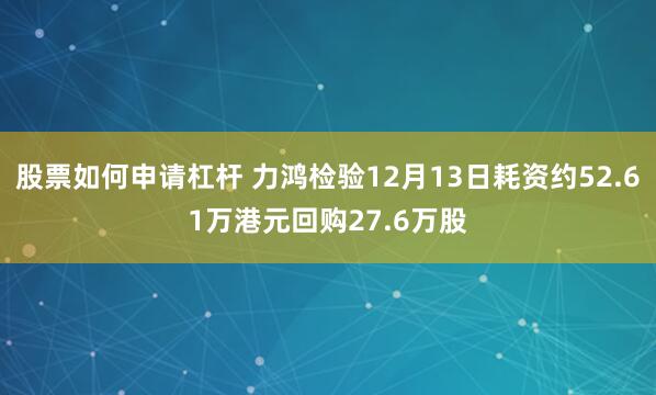 股票如何申请杠杆 力鸿检验12月13日耗资约52.61万港元回购27.6万股