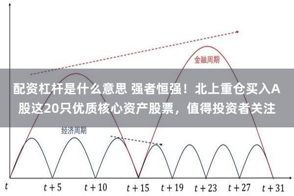 配资杠杆是什么意思 强者恒强！北上重仓买入A股这20只优质核心资产股票，值得投资者关注