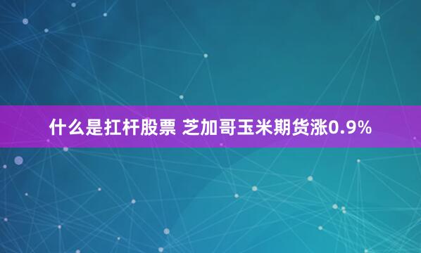 什么是扛杆股票 芝加哥玉米期货涨0.9%